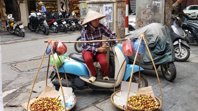 Chestnut lady